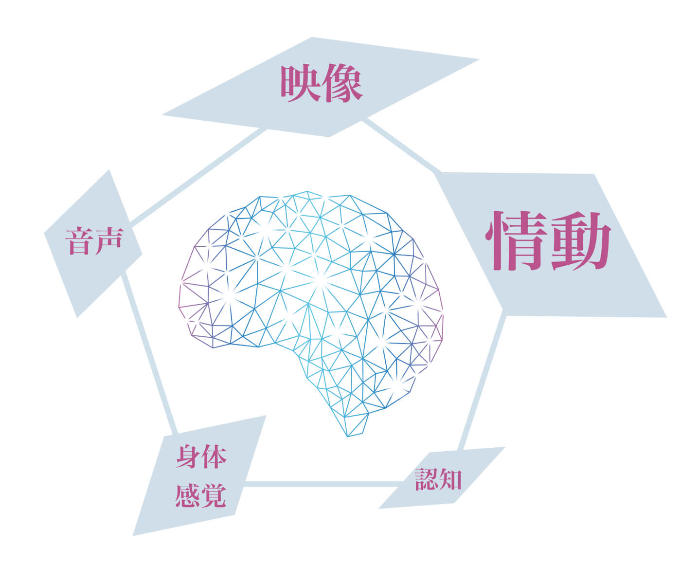 正常な適応的情報処理 AIPモデル