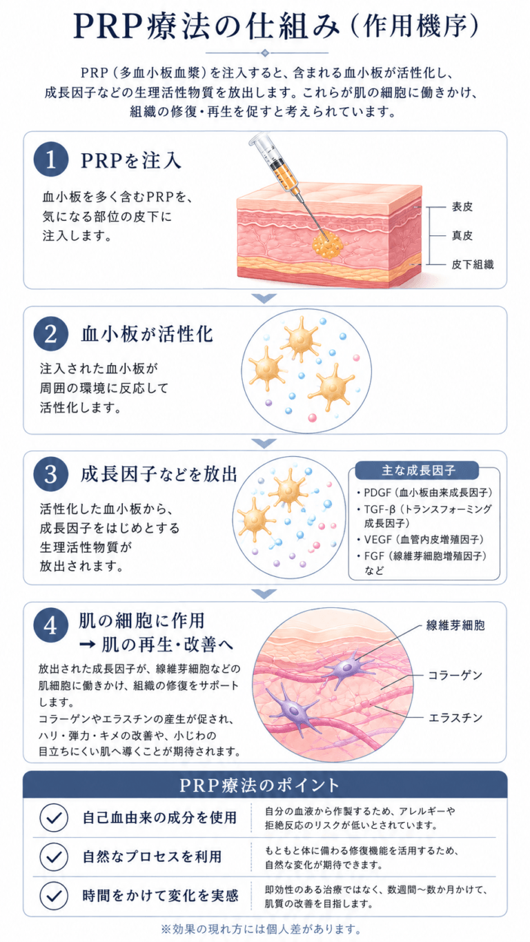 PRP　作用機序