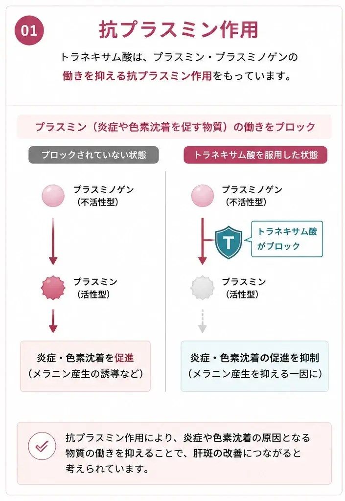 トラネキサム酸の抗プラスミン作用を示した図