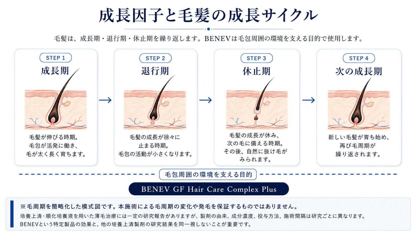 成長期、退行期、休止期、次の成長期からなる毛髪の成長サイクルと、BENEVの位置づけを示した模式図