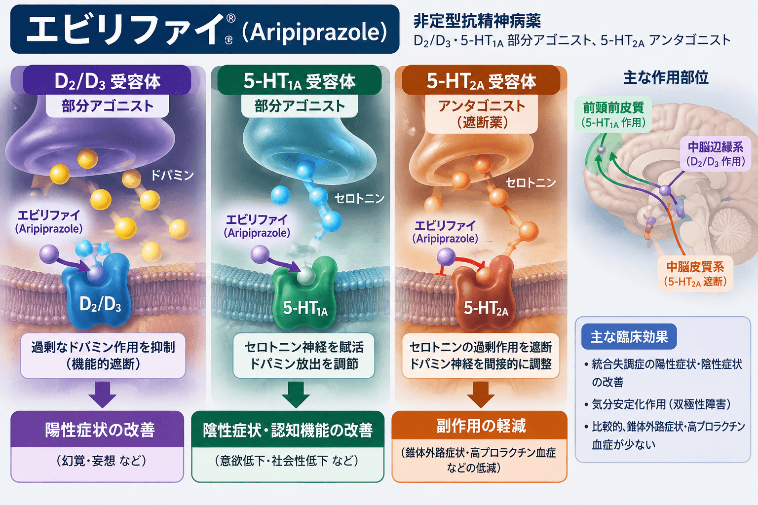 エビリファイ（アリピプラゾール）の作用機序
