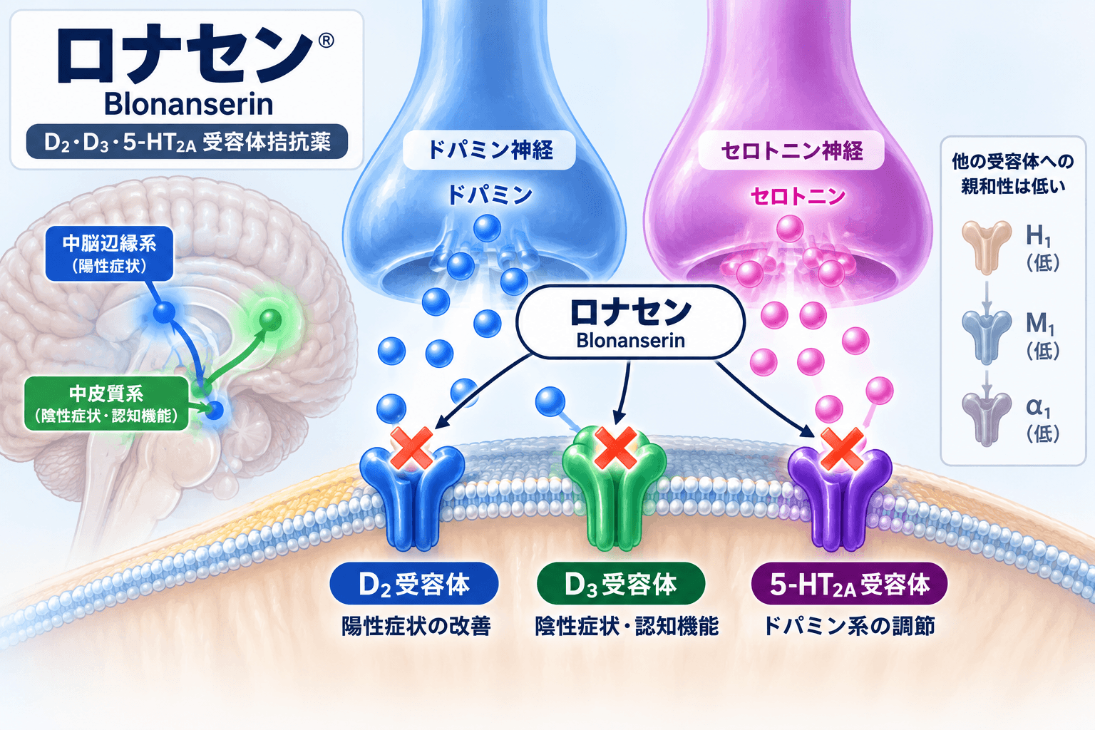 ロナセン（ブロナンセリン）の作用機序