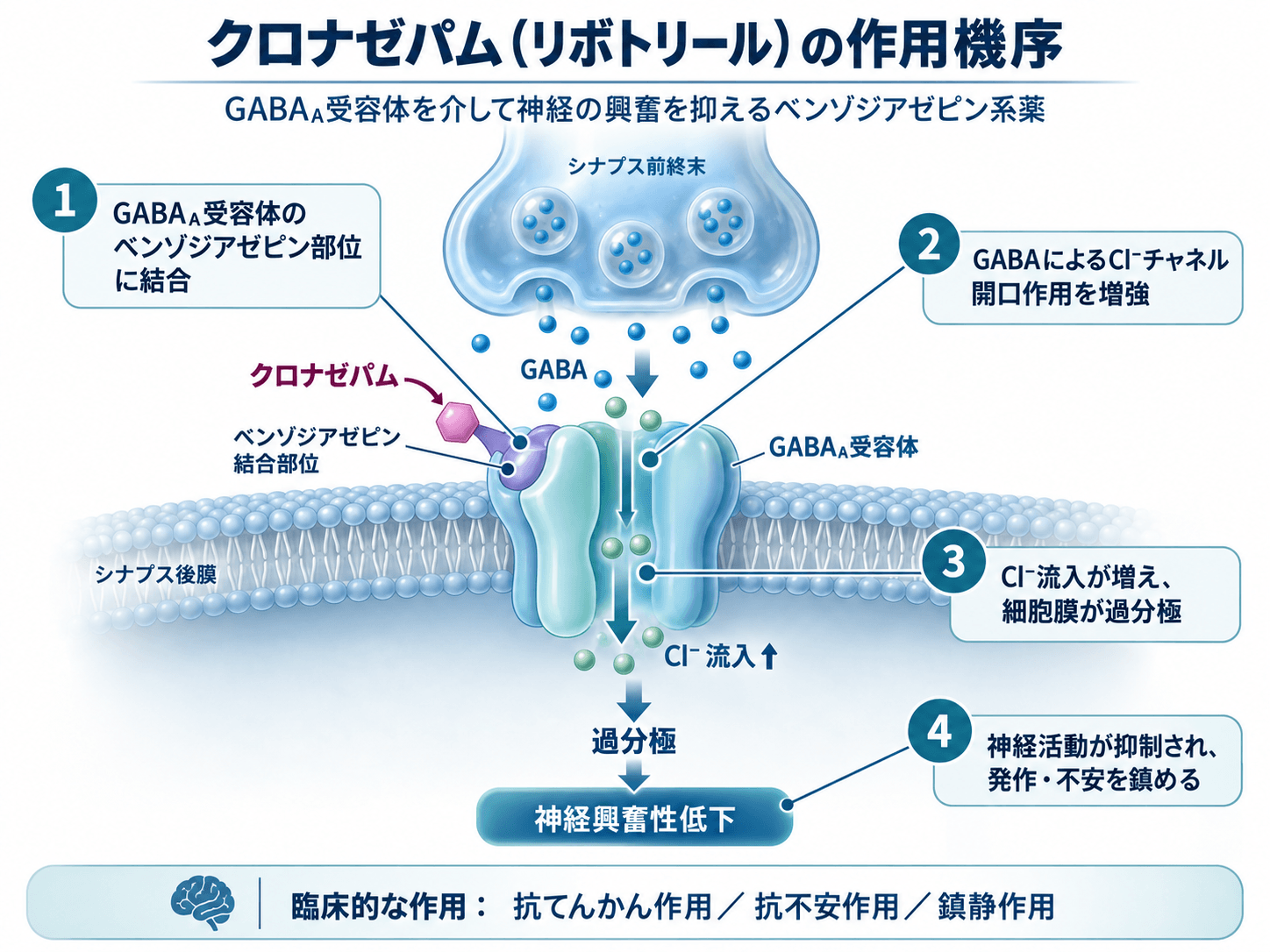 クロナゼパム（リボトリール・ランドセン）のGABA-A受容体を介した作用機序