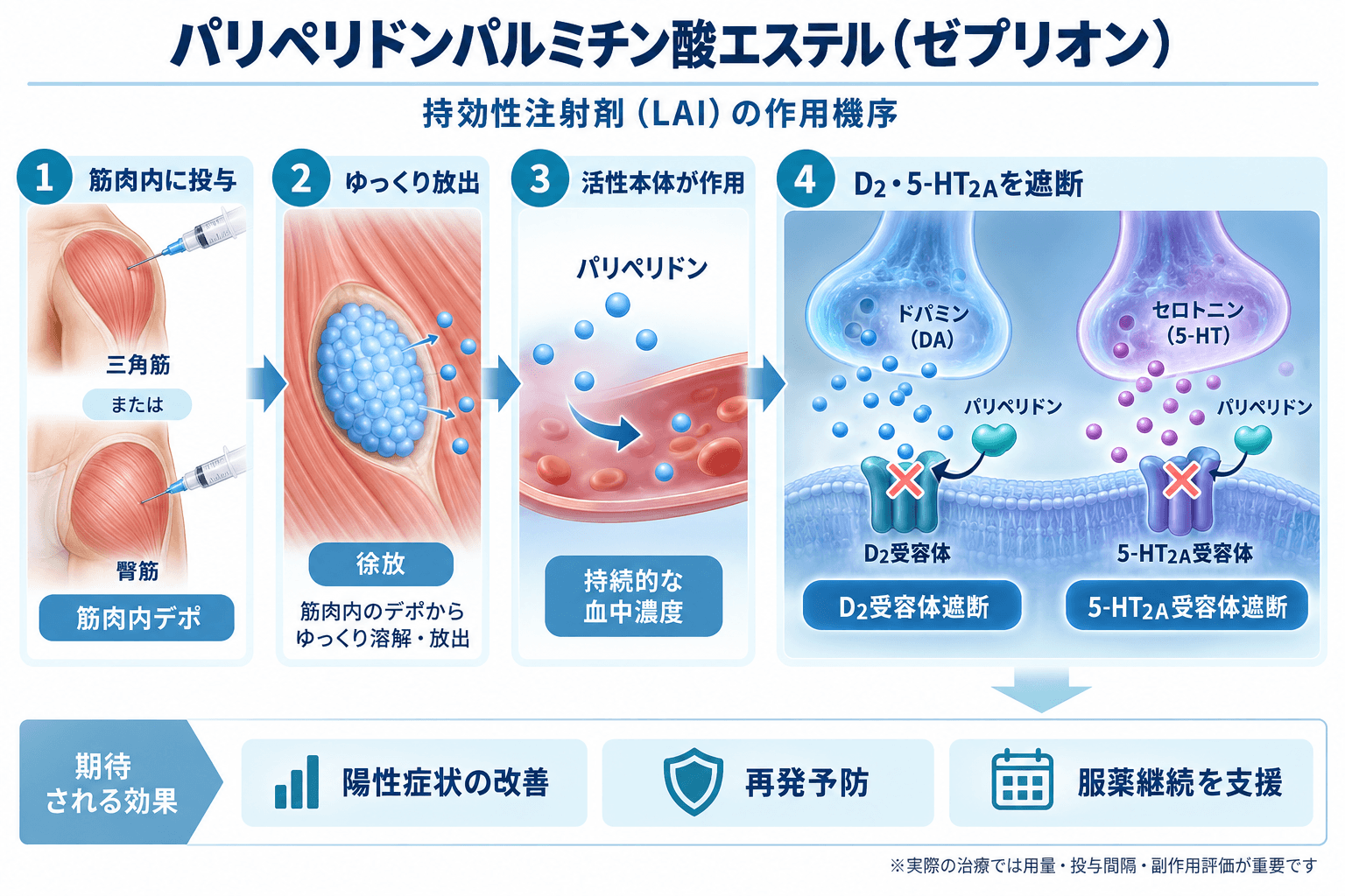 【精神科専門医解説】パリペリドンパルミチン酸エステル(ゼプリオン)の効果・副作用・使い方|LAIの導入法とゼプリオンTRIとの違い 2 ゼプリオン(パリペリドンパルミチン酸エステル)の作用機序。筋肉内デポから徐放され、パリペリドンとしてD2受容体と5-HT2A受容体を遮断する