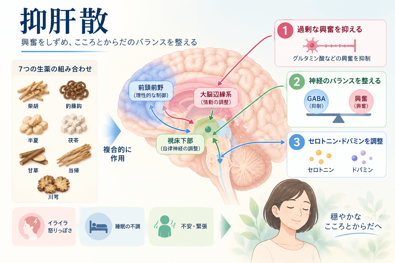 抑肝散の作用機序。グルタミン酸神経系とセロトニン神経系への作用を示した薬理学的模式図