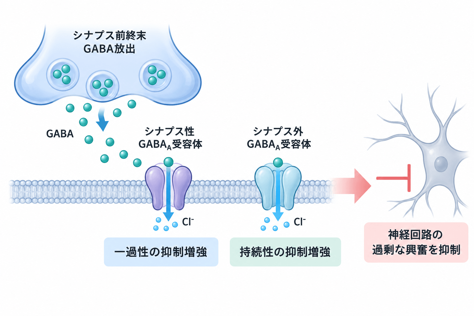 ザズベイ（ズラノロン）のGABA-A受容体に対する作用機序