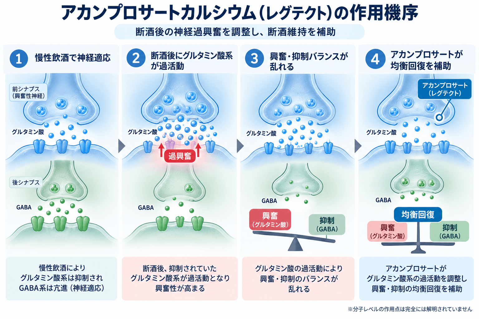【精神科専門医解説】アカンプロサート(レグテクト)の効果・作用機序・副作用|アルコール依存症の断酒維持を支える薬 2 アカンプロサートカルシウム(レグテクト)の作用機序。慢性飲酒後のグルタミン酸系過活動と興奮・抑制バランスの回復を示す