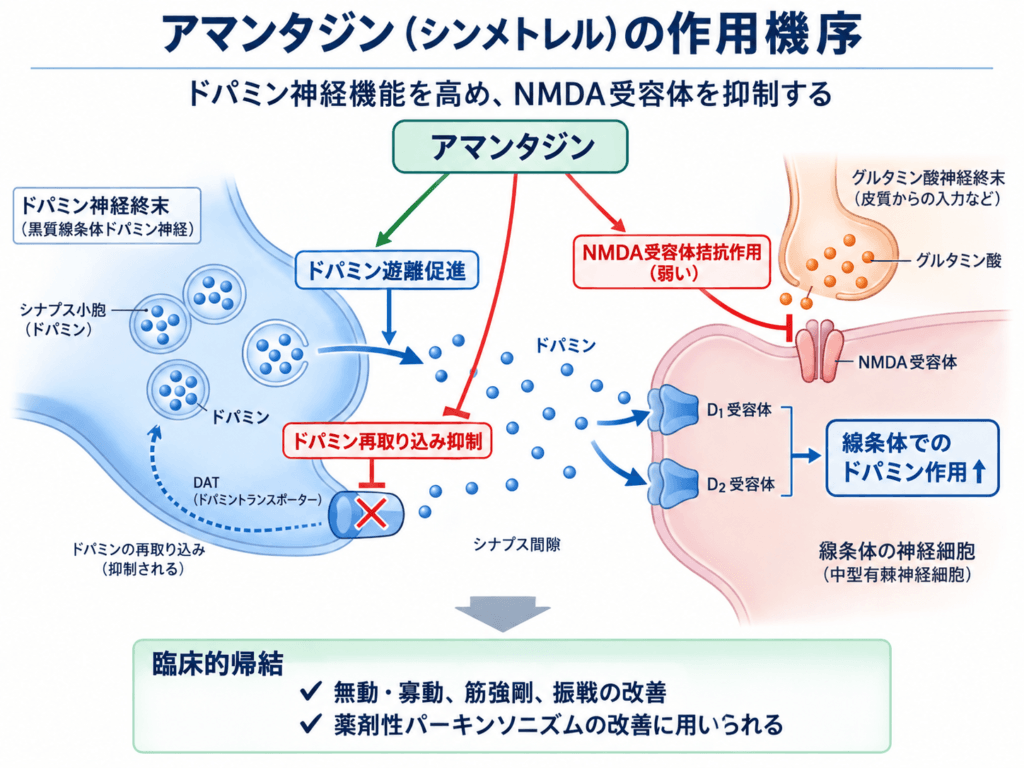 アマンタジン（シンメトレル）の作用機序