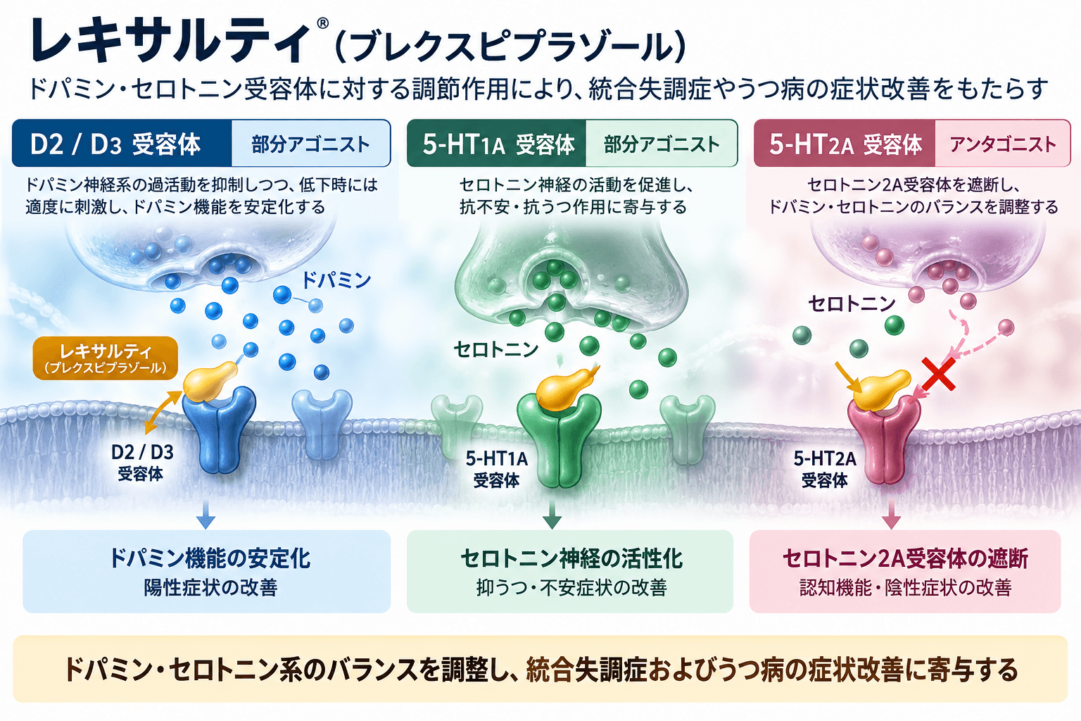 レキサルティ（ブレクスピプラゾール）の作用機序