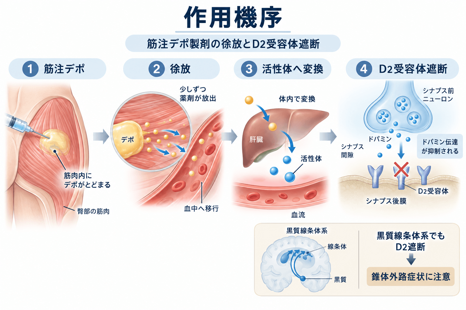 フルデカシン(フルフェナジンデカン酸エステル)の作用機序