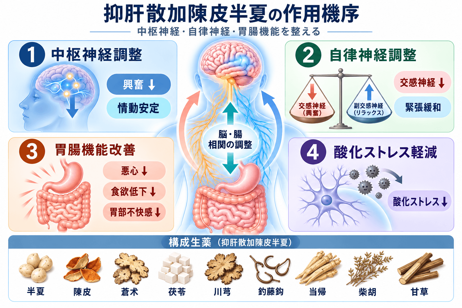 抑肝散加陳皮半夏の作用機序