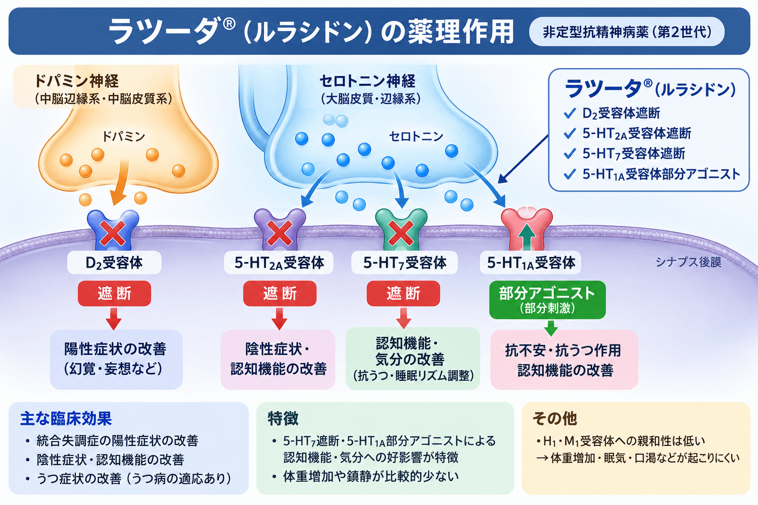 ラツーダ（ルラシドン）の作用機序。D2、5-HT2A、5-HT7受容体拮抗作用と5-HT1A部分アゴニスト作用