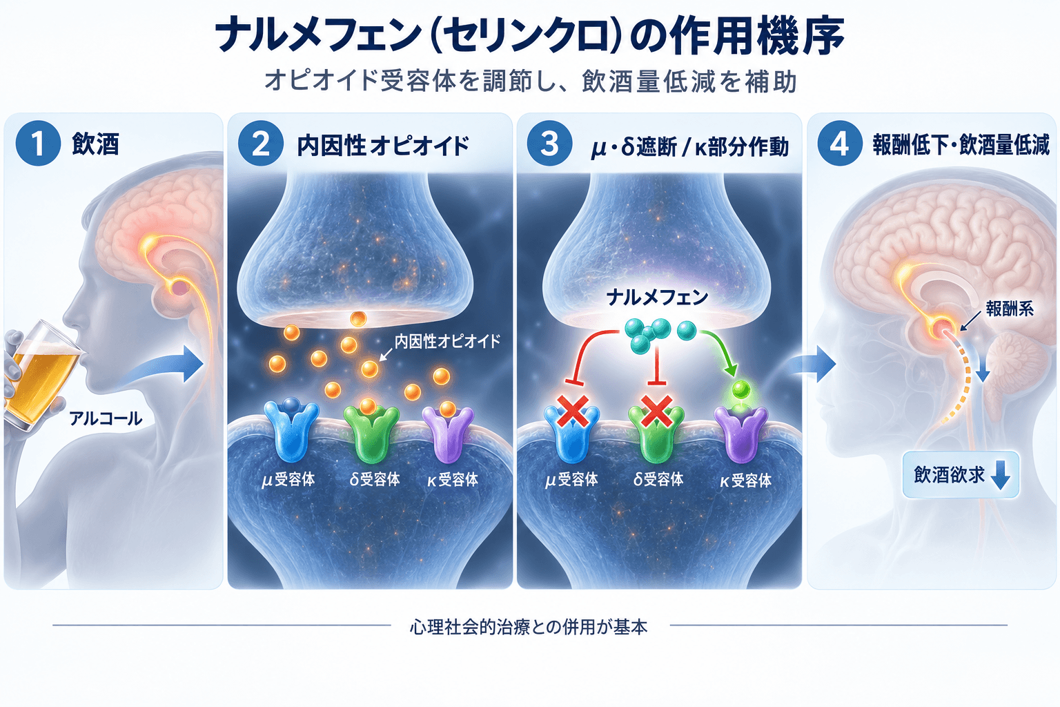 ナルメフェン（セリンクロ）の作用機序