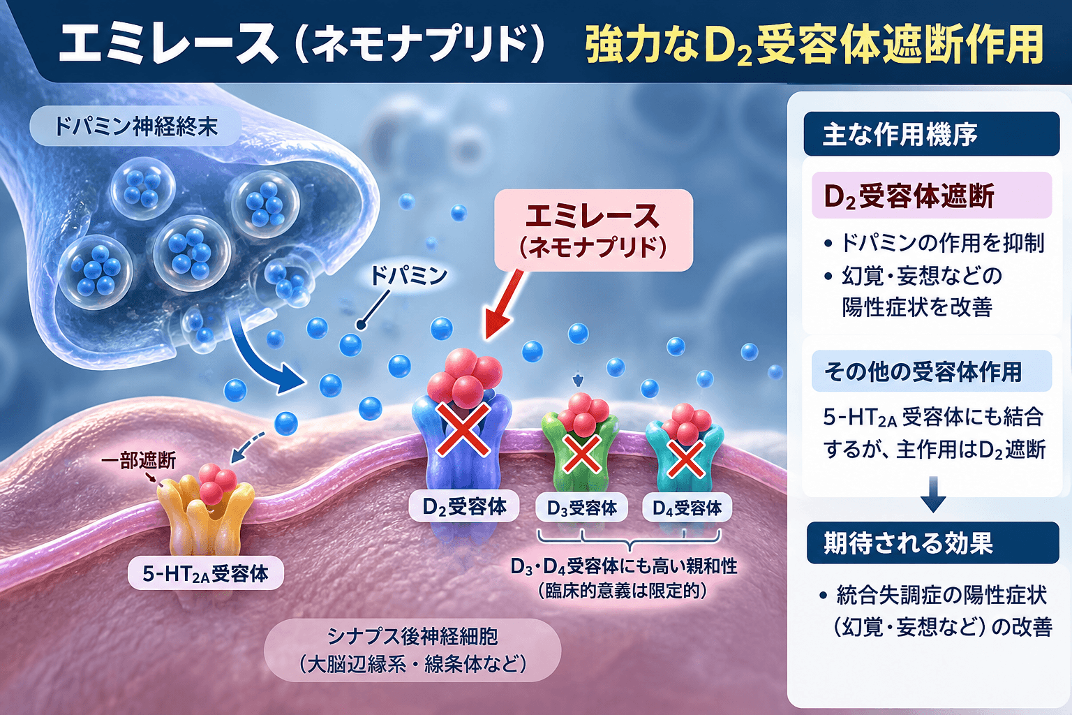 エミレース（ネモナプリド）の作用機序。D2・D3・D4ドパミン受容体への作用を示した図