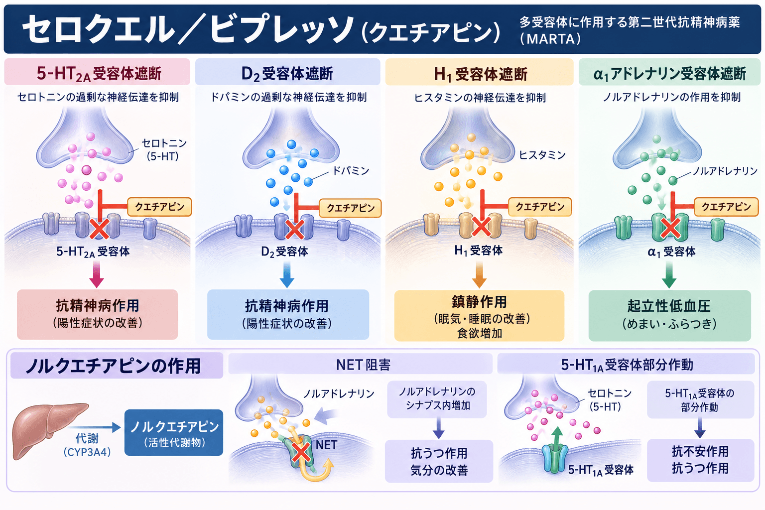 セロクエル・ビプレッソ（クエチアピン）の作用機序