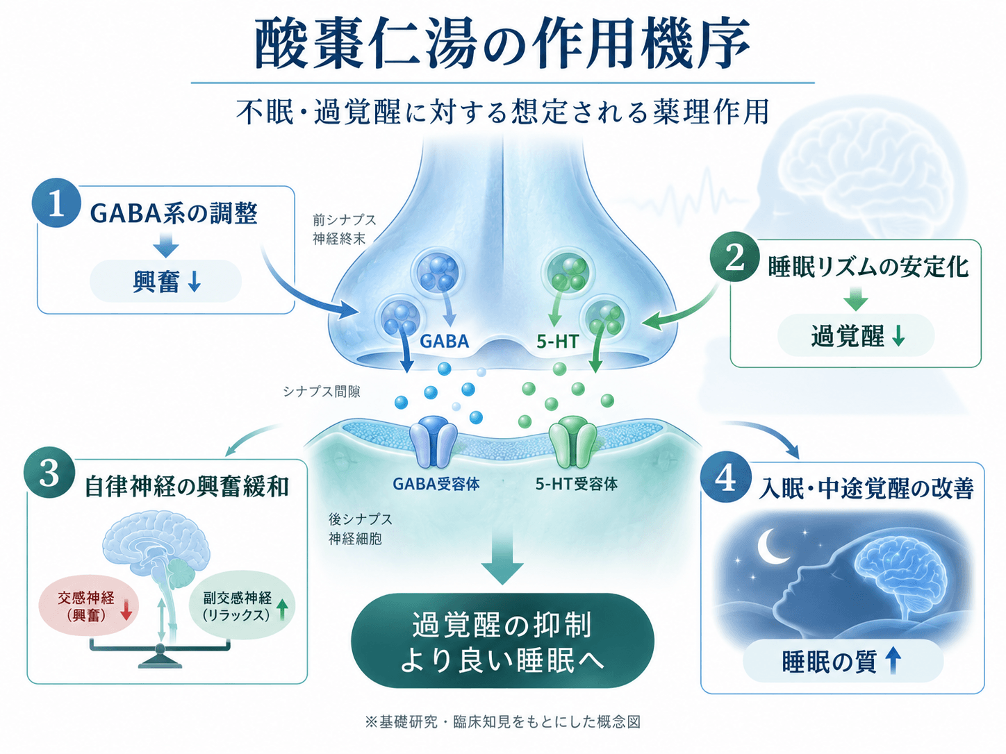 【精神科医解説】酸棗仁湯の効果・作用機序・飲み方・副作用|疲れているのに眠れない不眠に 2 酸棗仁湯の作用機序。GABA系やセロトニン系を介した睡眠・覚醒調節を示した概念図