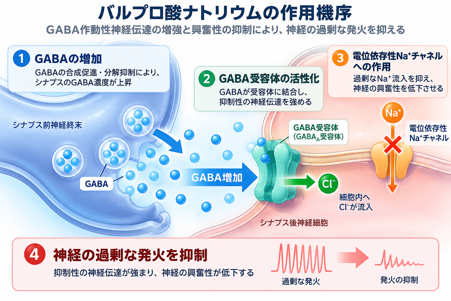 バルプロ酸ナトリウムの作用機序