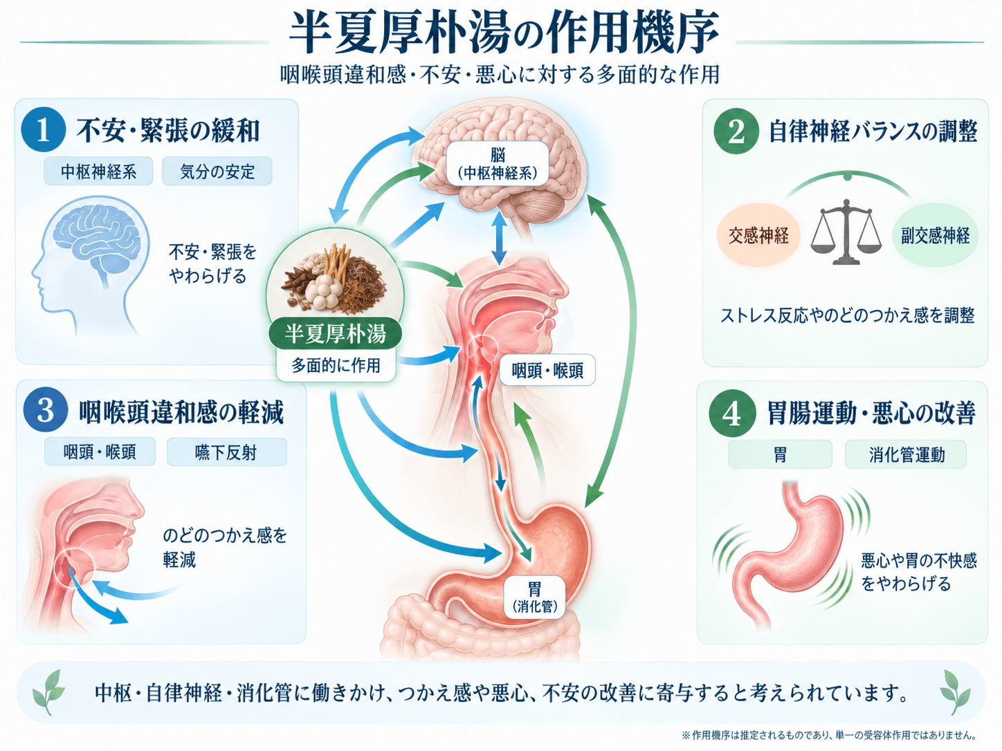 半夏厚朴湯の作用機序