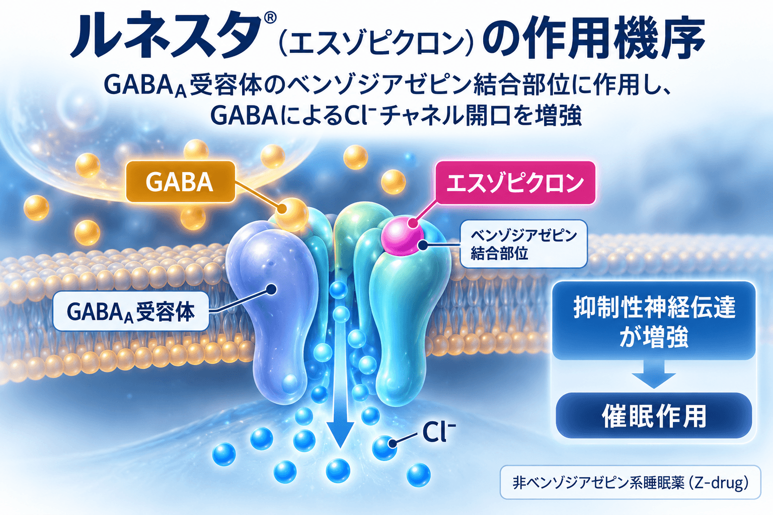 【精神科医専門医解説】ルネスタ(エスゾピクロン)の効果・副作用・依存性|精神科専門医が解説 2 ルネスタ(エスゾピクロン)がGABA A受容体のベンゾジアゼピン結合部位に作用し、GABAによる塩化物イオン流入を促進する模式図